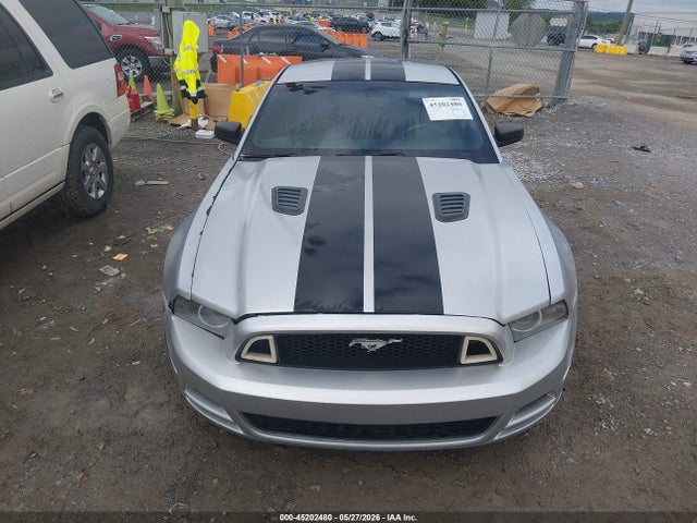 Ford Mustang V6