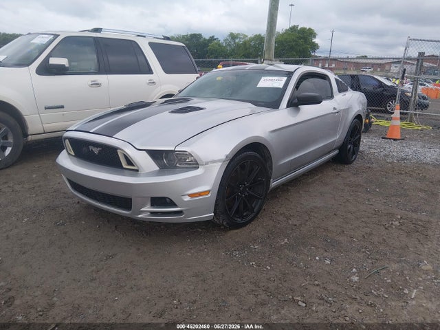 Ford Mustang V6