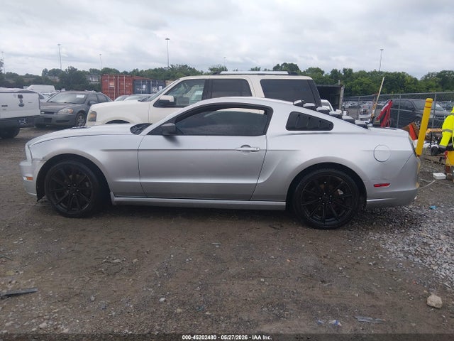 Ford Mustang V6