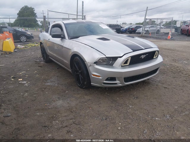 Salvage Ford Mustang Image