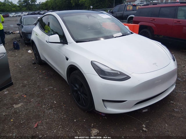 Salvage Tesla Model Y Image