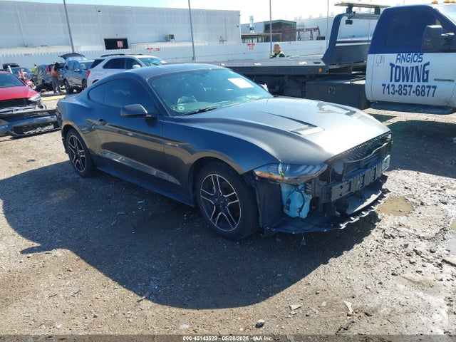Salvage Ford Mustang Image