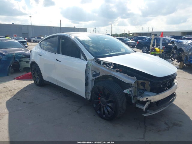 Salvage Tesla Model Y Image