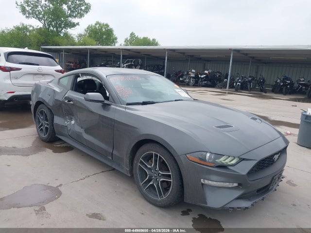 Salvage Ford Mustang Image