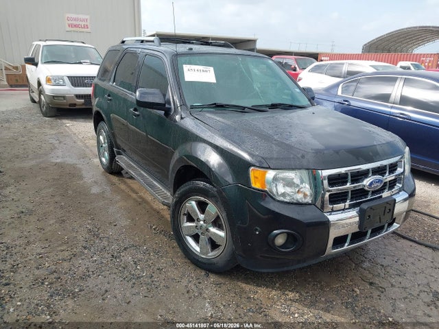 Salvage Ford Escape Image