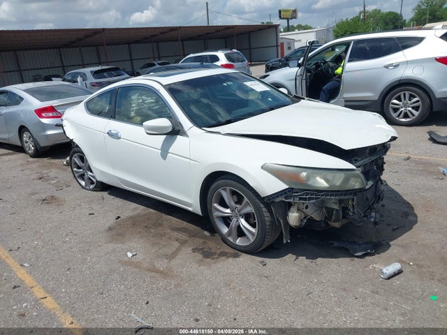 Salvage Honda Accord Image
