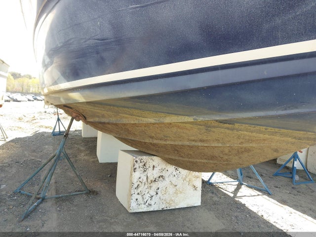 Sea Ray Other