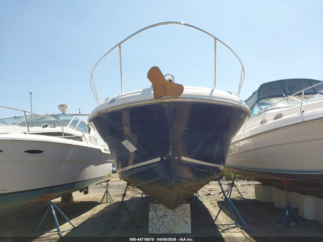 Sea Ray Other