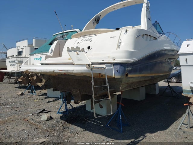 Sea Ray Other