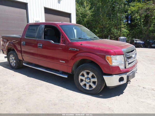 Salvage Ford F-150 Image