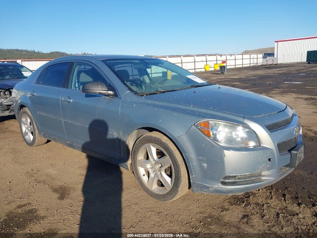 Salvage Chevrolet Malibu Image