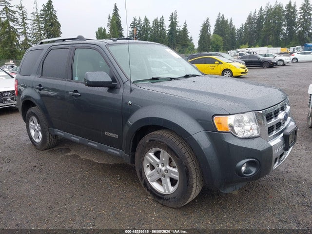Salvage Ford Escape Image
