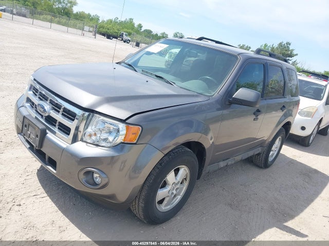 Ford Escape Xlt