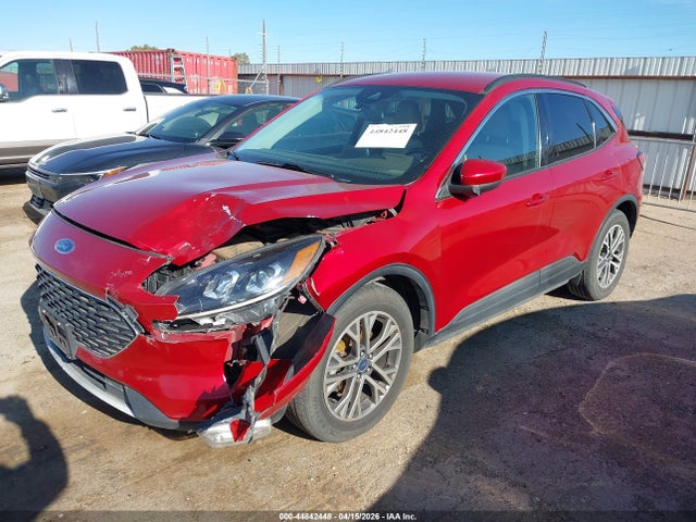 Ford Escape Sel