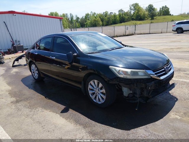 Salvage Honda Accord Image