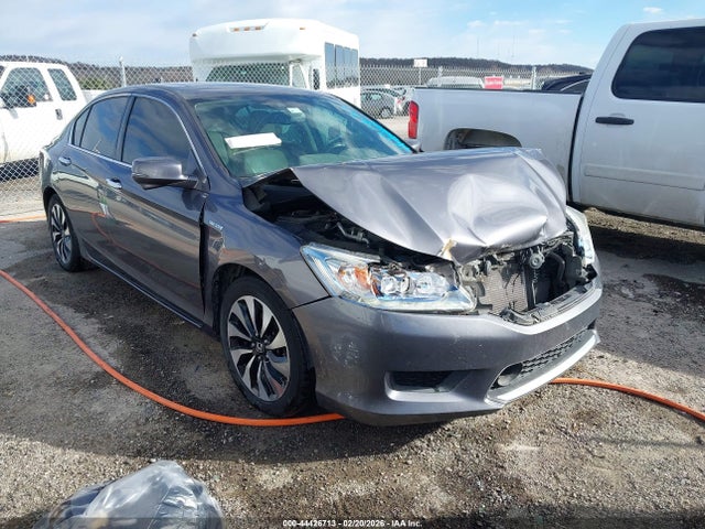 Salvage Honda Accord Image