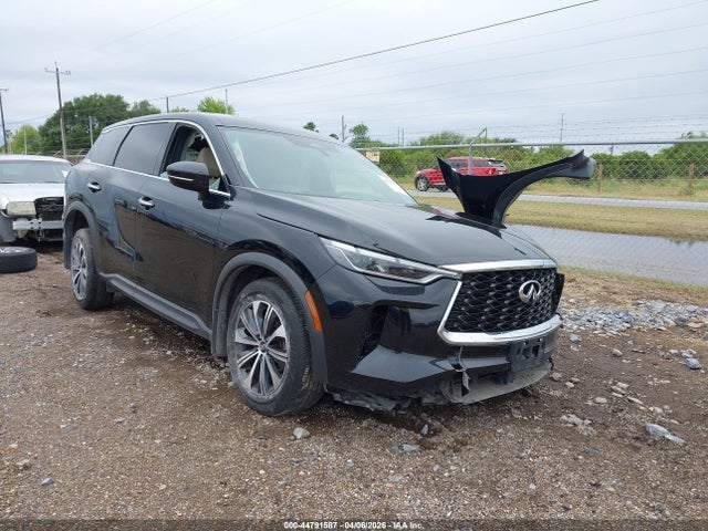 Salvage INFINITI Qx Image