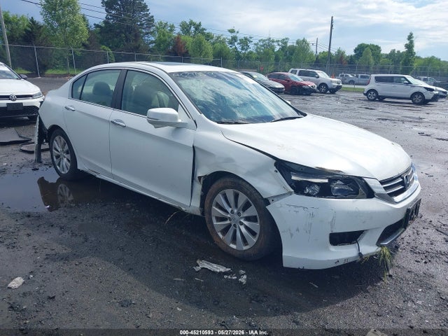 Salvage Honda Accord Image