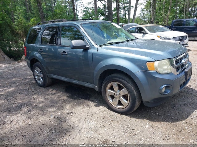 Salvage Ford Escape Image