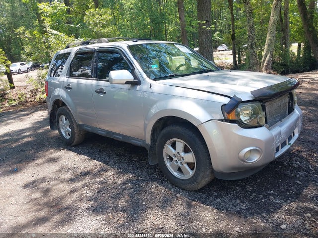 Salvage Ford Escape Image