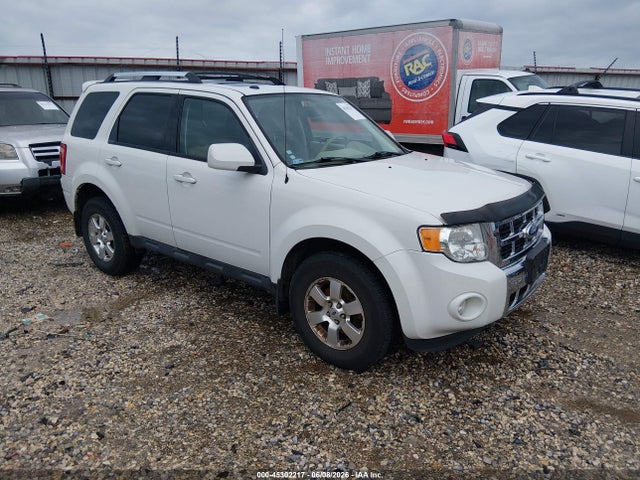 Salvage Ford Escape Image