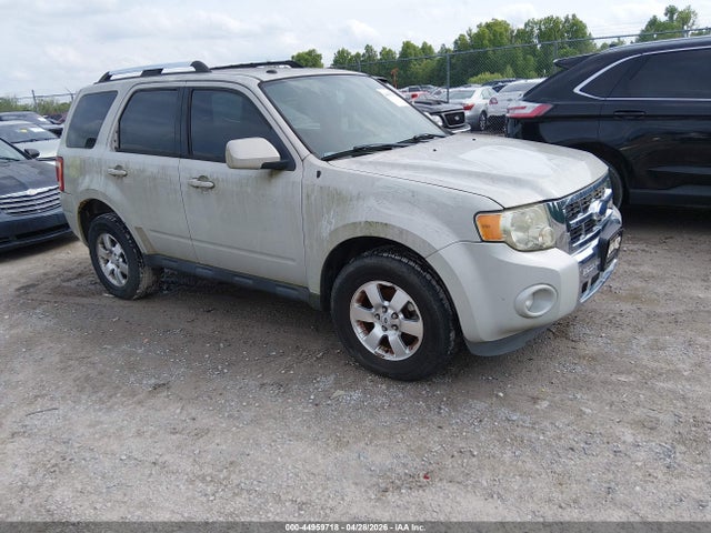 Salvage Ford Escape Image