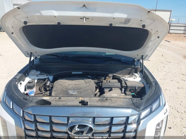 Hyundai PALISADE Calligraphy