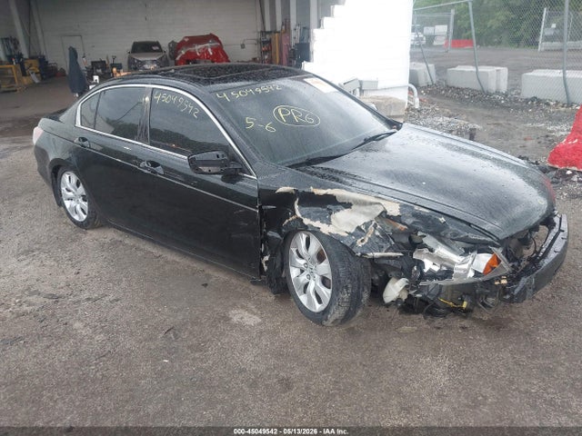 Salvage Honda Accord Image
