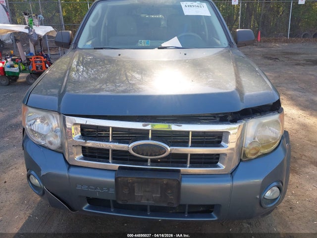Ford Escape Xlt