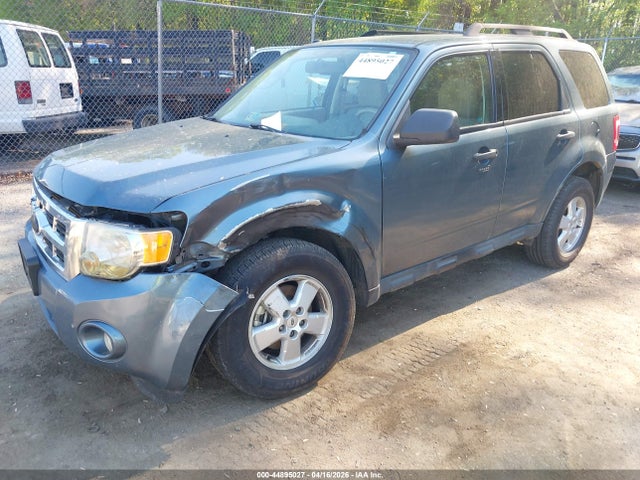 Ford Escape Xlt
