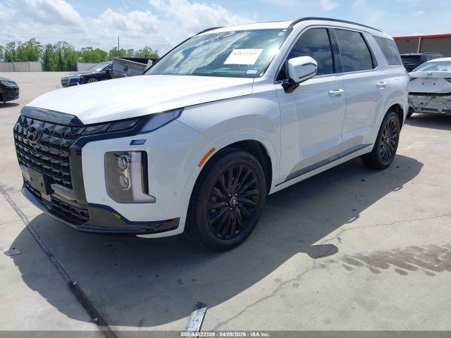 Hyundai PALISADE Calligraphy Night Edition