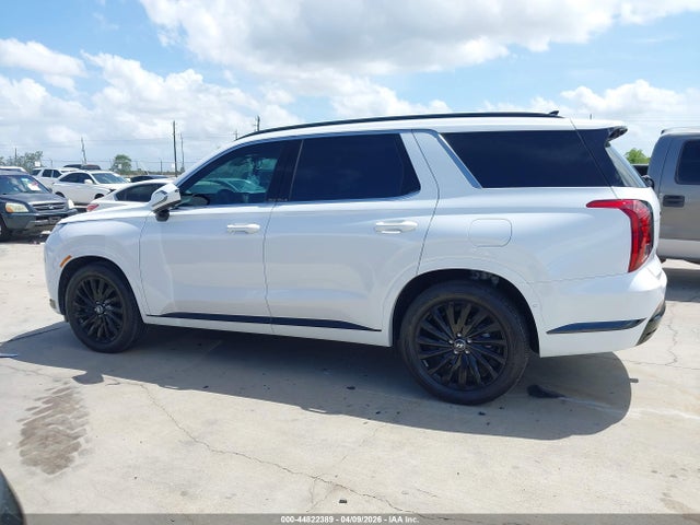 Hyundai PALISADE Calligraphy Night Edition