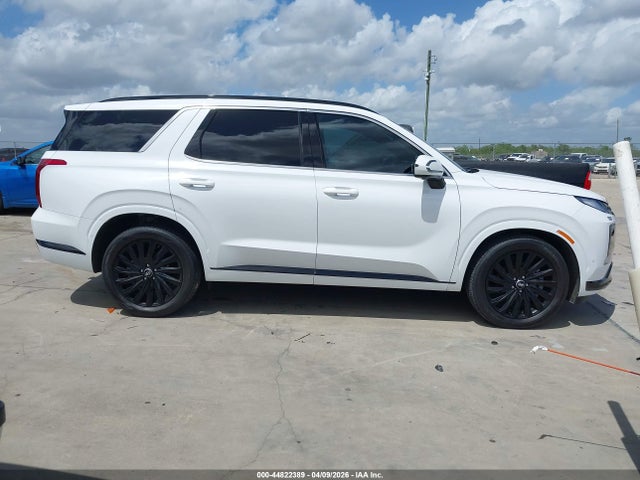 Hyundai PALISADE Calligraphy Night Edition