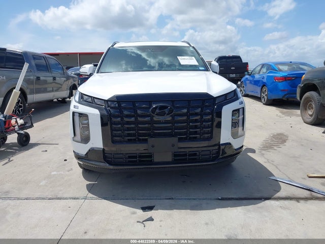 Hyundai PALISADE Calligraphy Night Edition