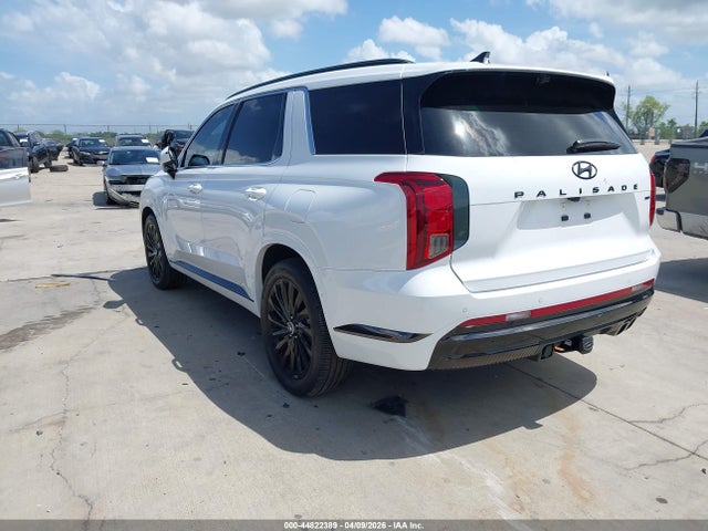 Hyundai PALISADE Calligraphy Night Edition