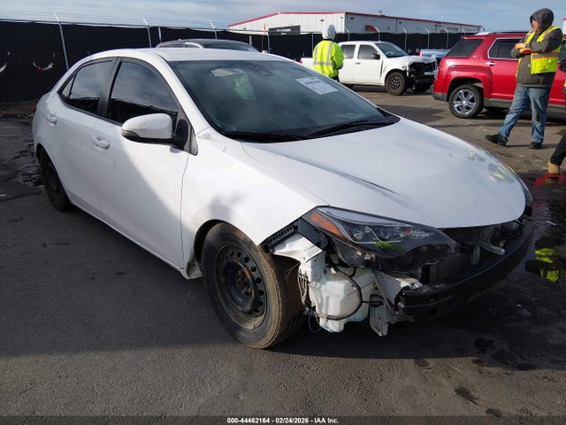 Salvage Toyota Corolla Image
