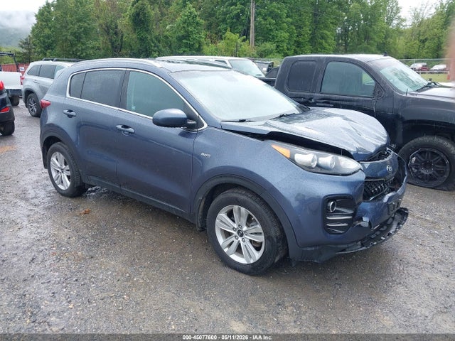 Salvage Kia Sportage Image