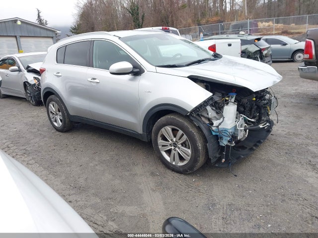 Salvage Kia Sportage Image