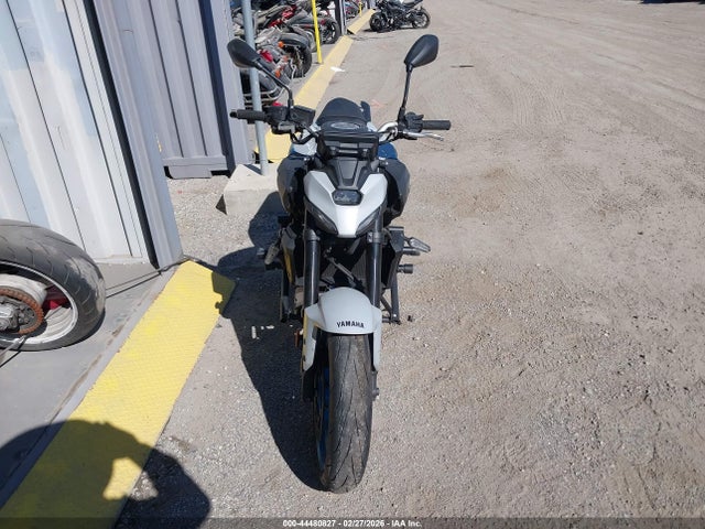 Yamaha Mtn690 C