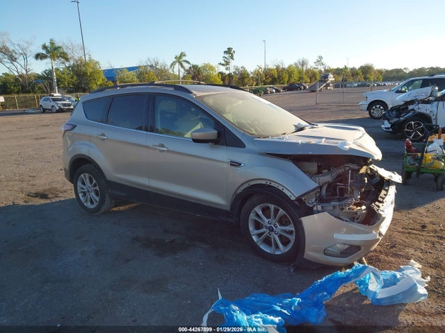 Salvage Ford Escape Image