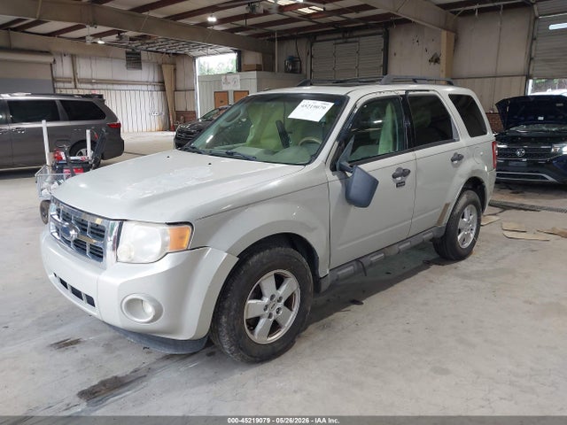 Ford Escape Xlt