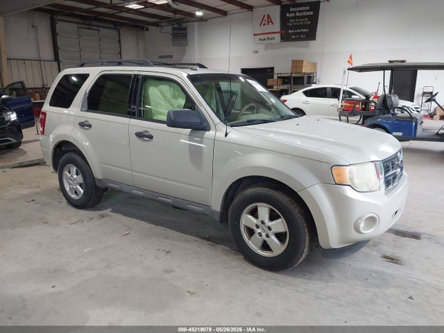 Salvage Ford Escape Image