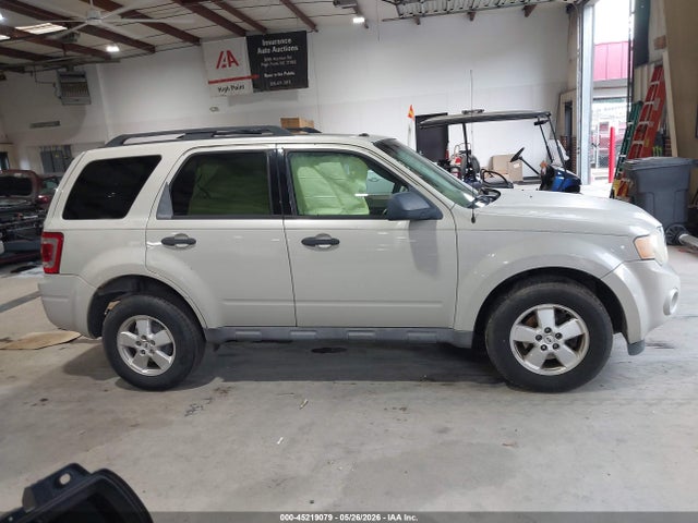 Ford Escape Xlt