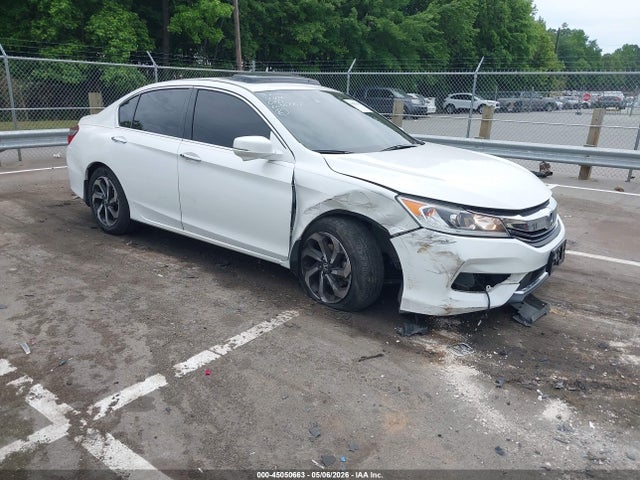 Salvage Honda Accord Image