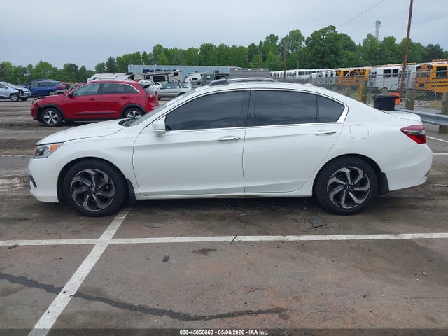 Honda Accord Ex-l V6