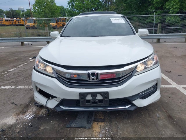 Honda Accord Ex-l V6
