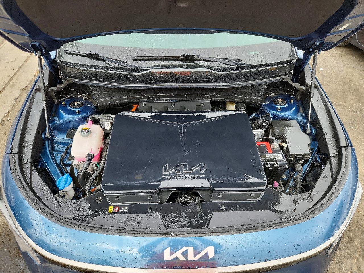 Kia Niro Wind