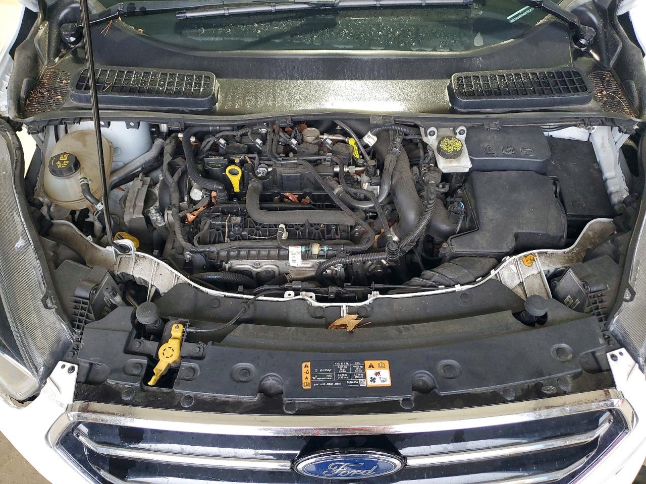 Ford Escape Se