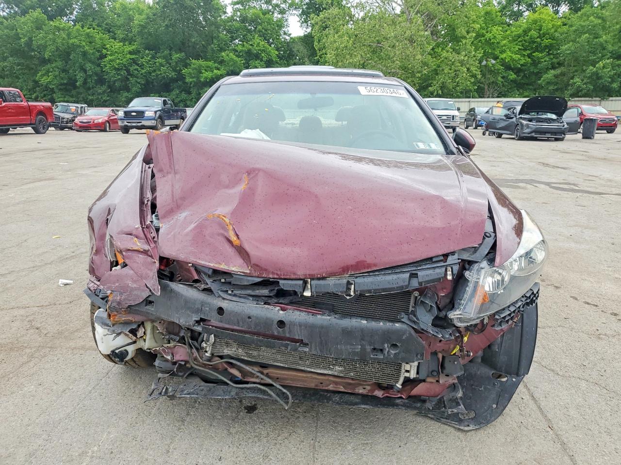 Honda Accord Ex