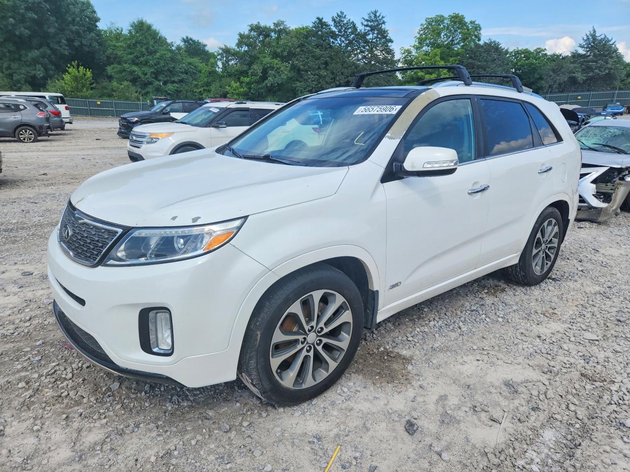 Salvage Kia Sorento Image